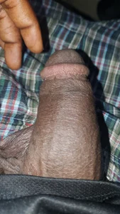 chocolate_dick1의 Dick views 앨범 섹스 사진 3개