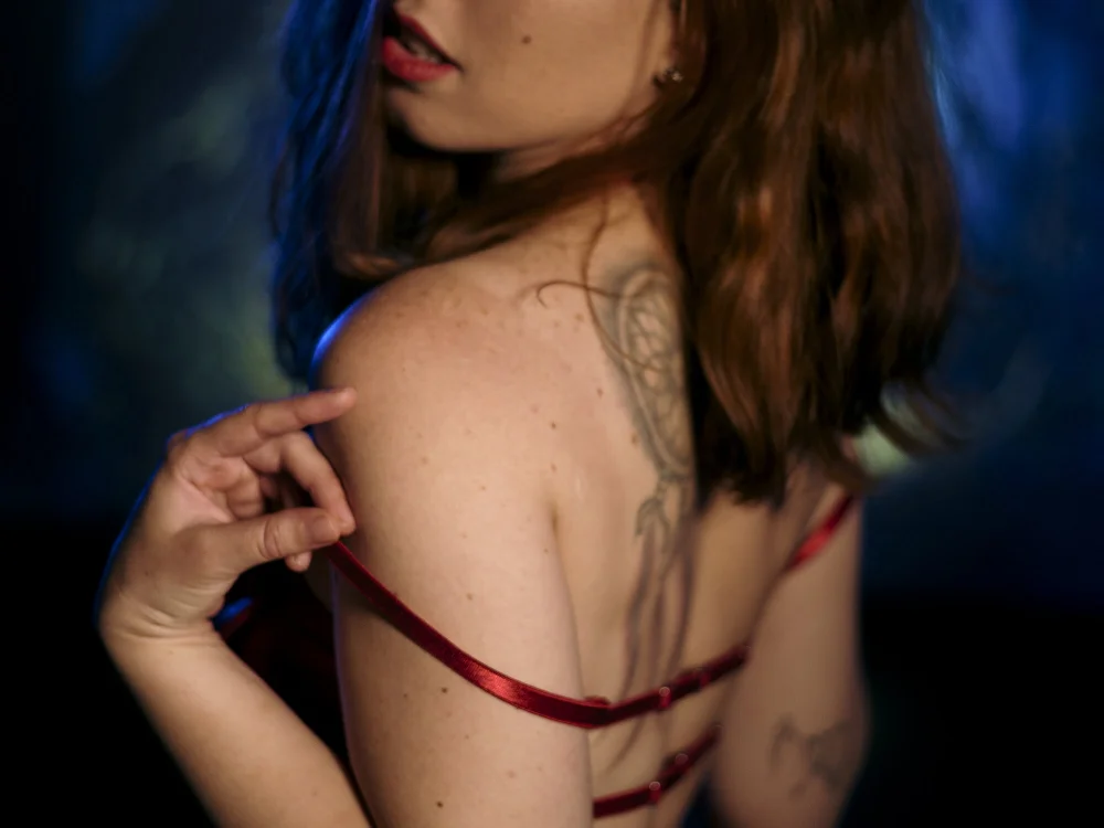 Sala de chat offline de ariavelvet_s